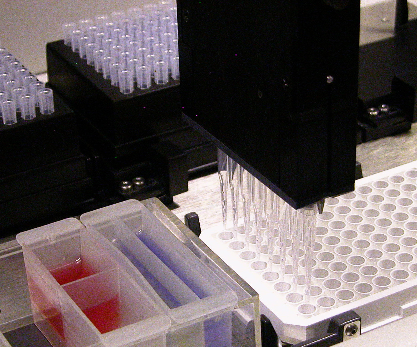 High Throughput Screening for Toxicity Testing