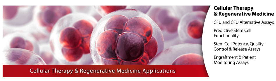 Cellular Therapy and Regenerative Medicine -  CFU and CFU Alternate Assays, Predicitive Stem Cell Functionality, Stem Cell Potency - Quality Control & Release Assays, Engraftment and Patient Monitoring Assays