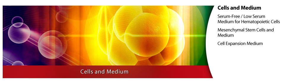 Cells and Medium